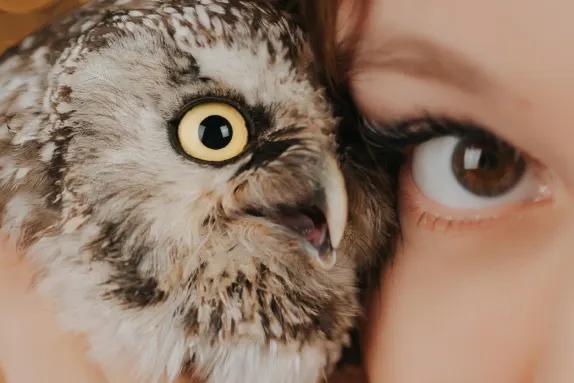 Παραδαις Καζίνο Υποστηριξη